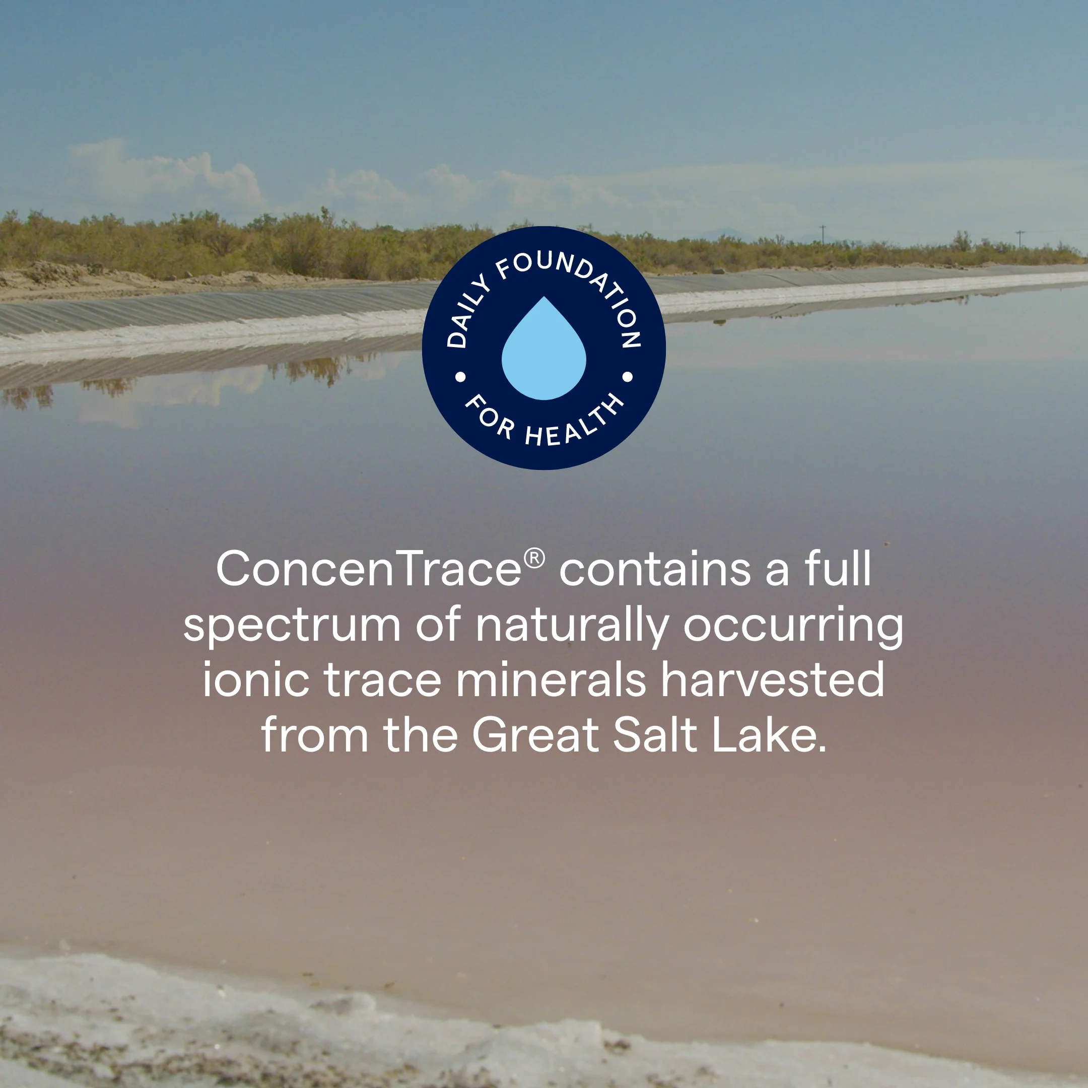 ConcenTrace® Trace Mineral Drops - Image 5