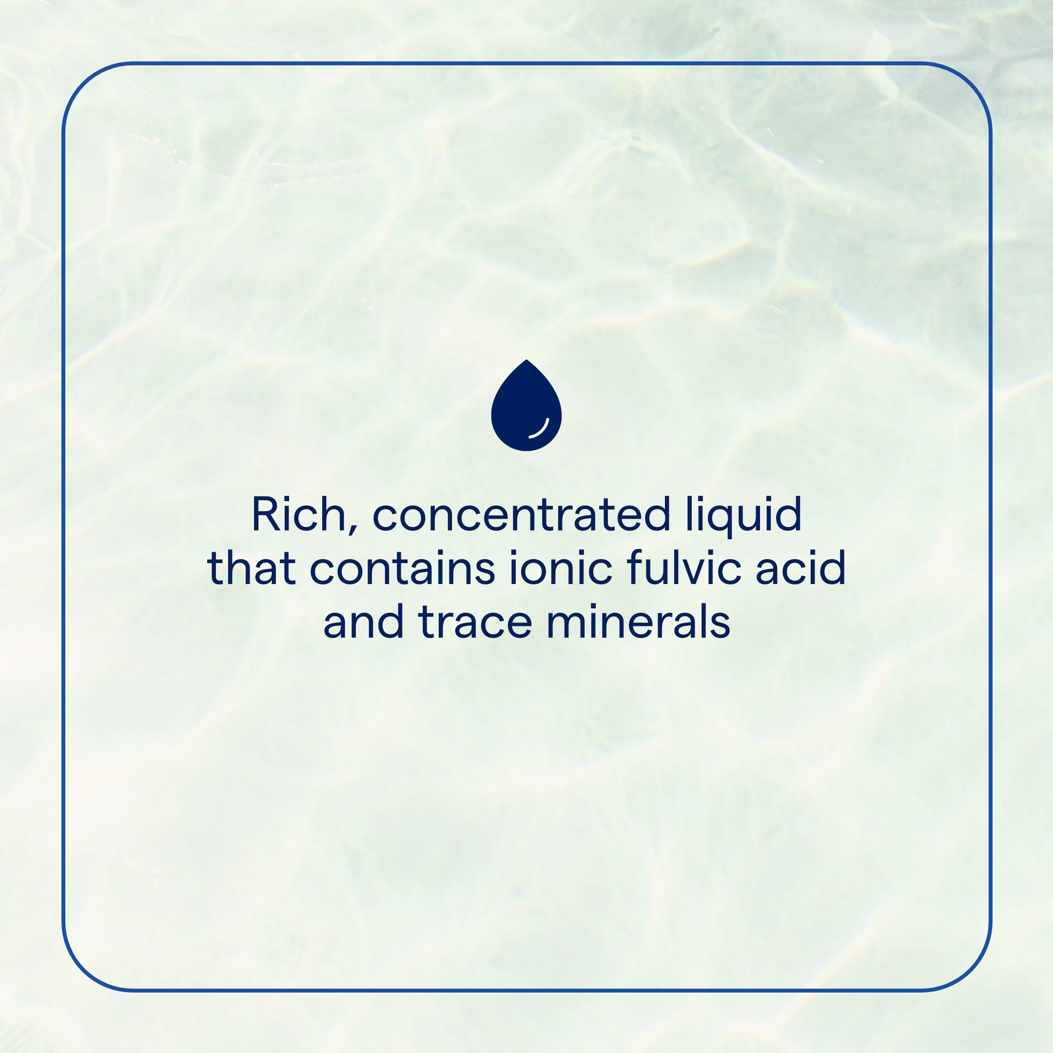 Ionic Fulvic Acid - Image 5