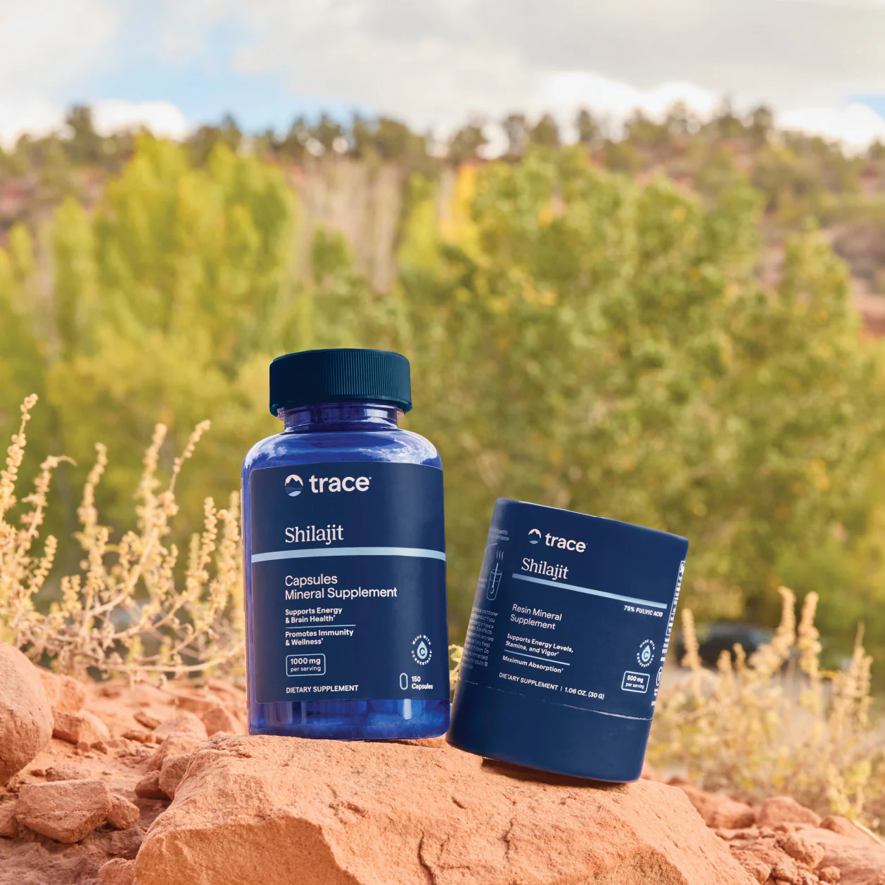 Shilajit Capsules - Image 4